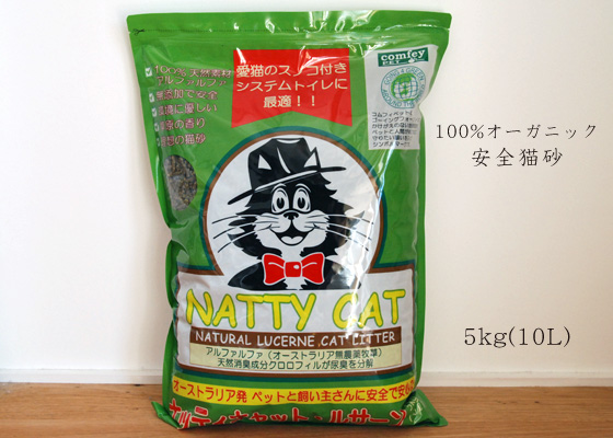 nattycat00.jpg